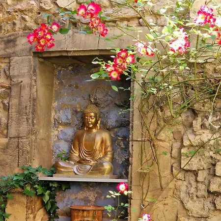 Capucines, Un Jardin Secret Dans Le Centre Historique 아파트